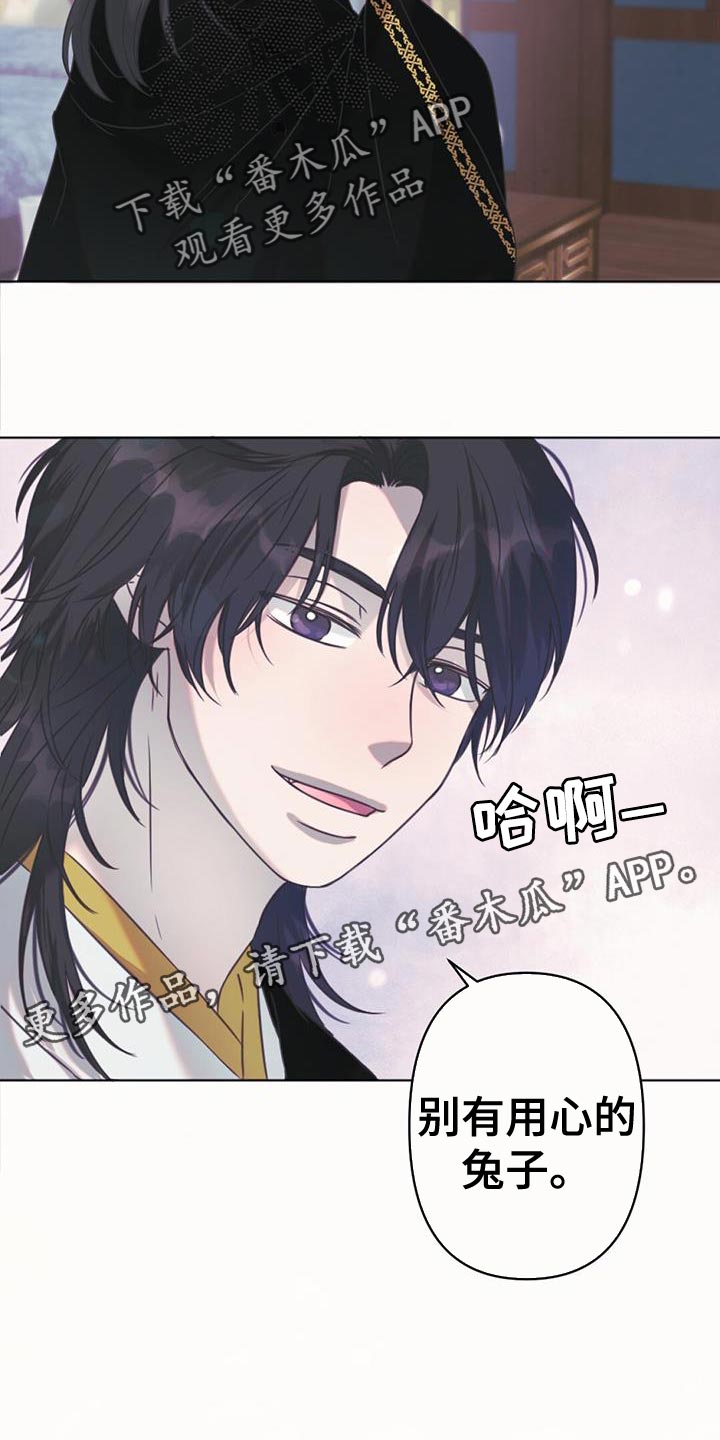 兔兔的小龙宝漫画,第46章：别有用心的兔子2图