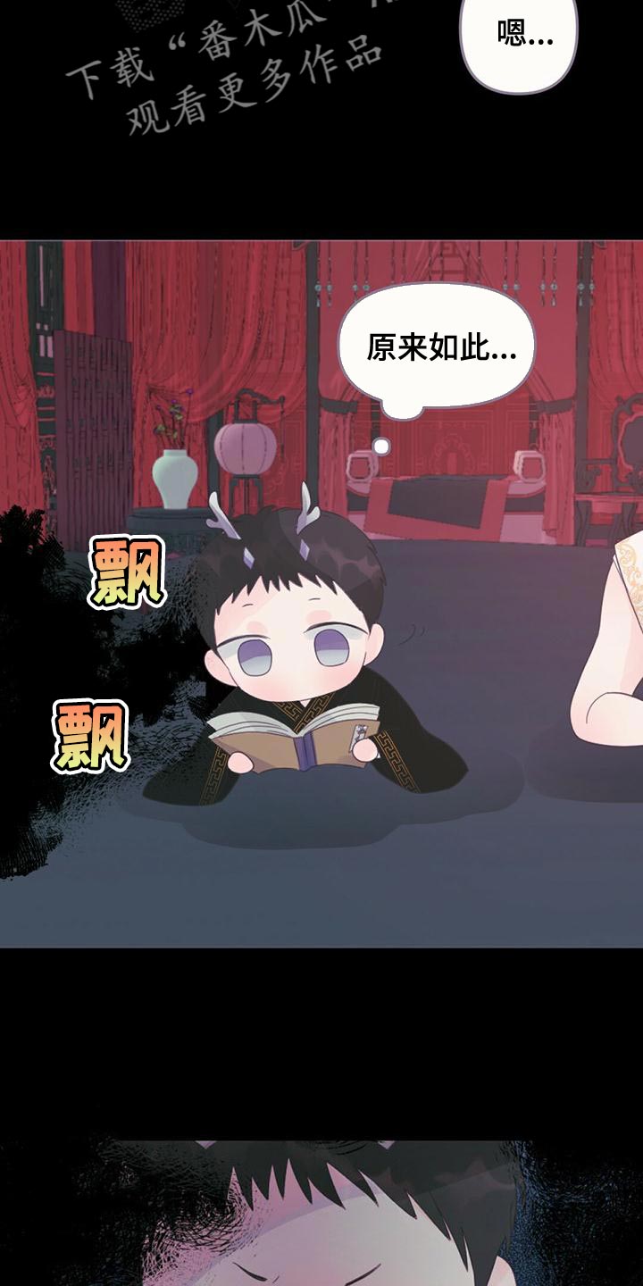 兔兔的小龙宝漫画,第34章：明明是外人2图