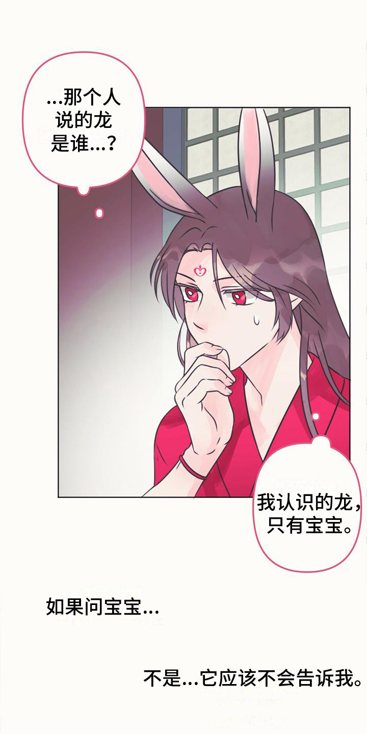 兔兔的小龙宝漫画,第13章：相似的人1图