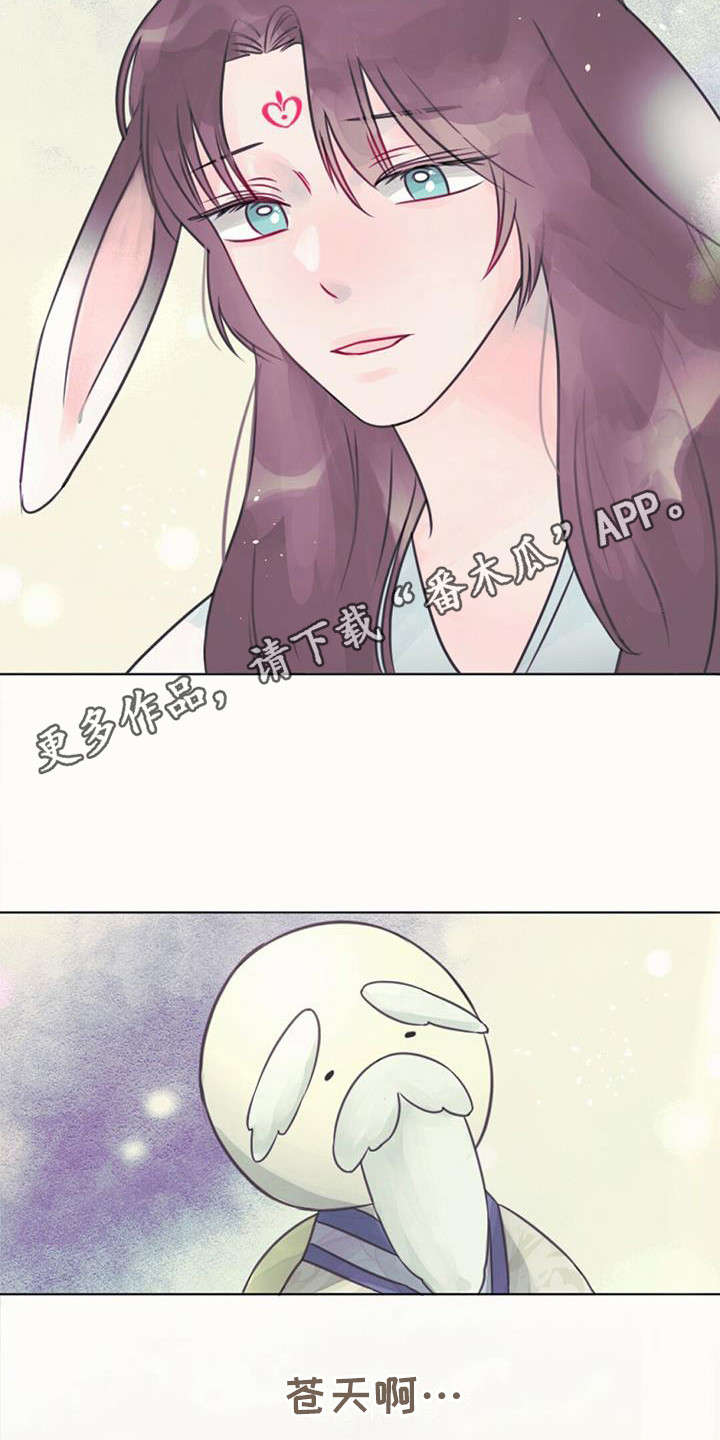 兔兔的那些事漫画,第21章：查找资料1图