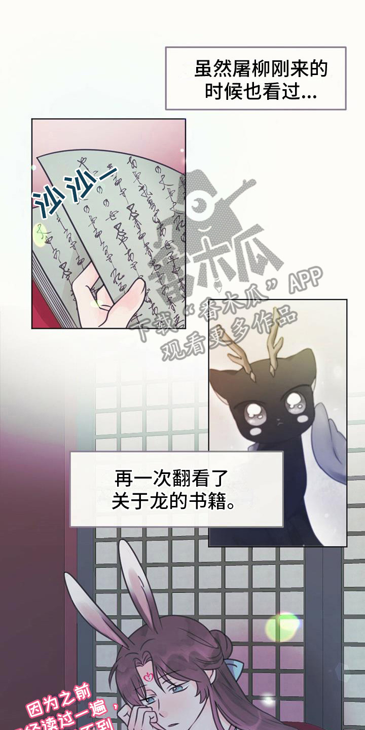 兔兔的那些事漫画,第21章：查找资料2图