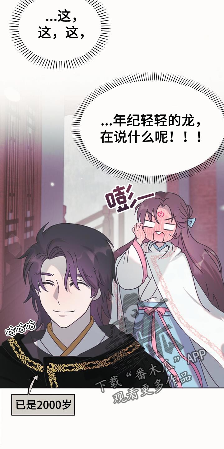 兔兔的小龙宝漫画,第46章：别有用心的兔子1图