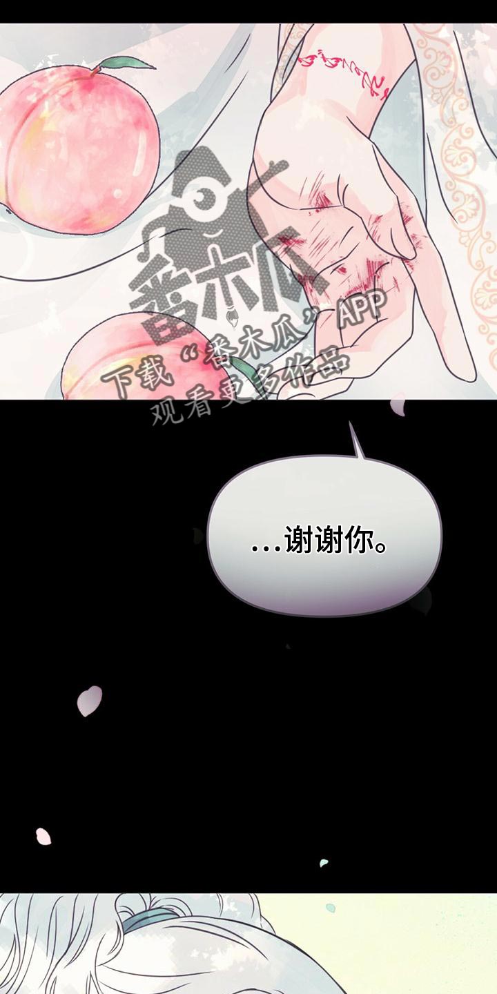 兔兔的小龙宝动漫漫画,第31章：利用2图