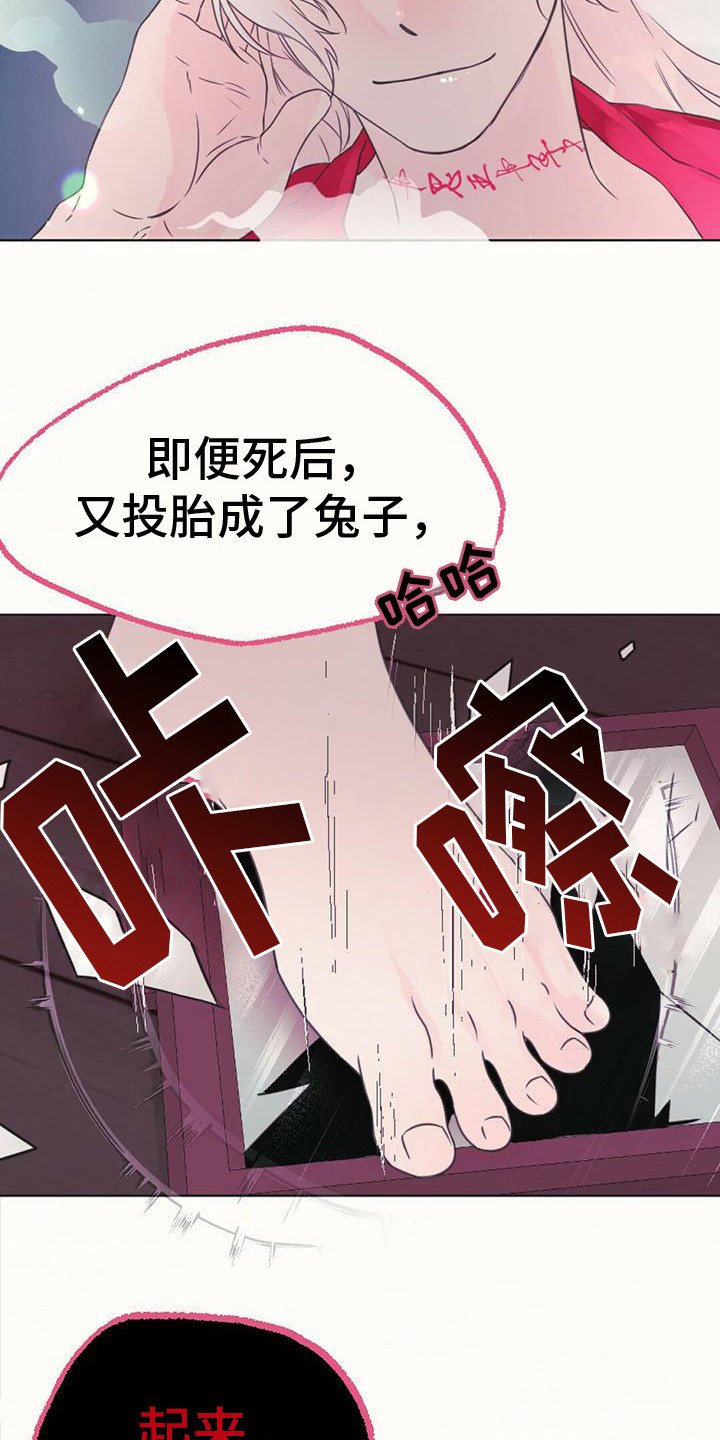 兔兔的小视频大全漫画,第16章：倒下1图