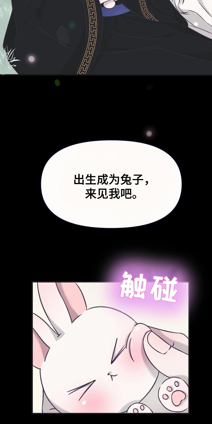 兔兔的小龙宝讲的什么漫画,第63章：只为了我出生的1图