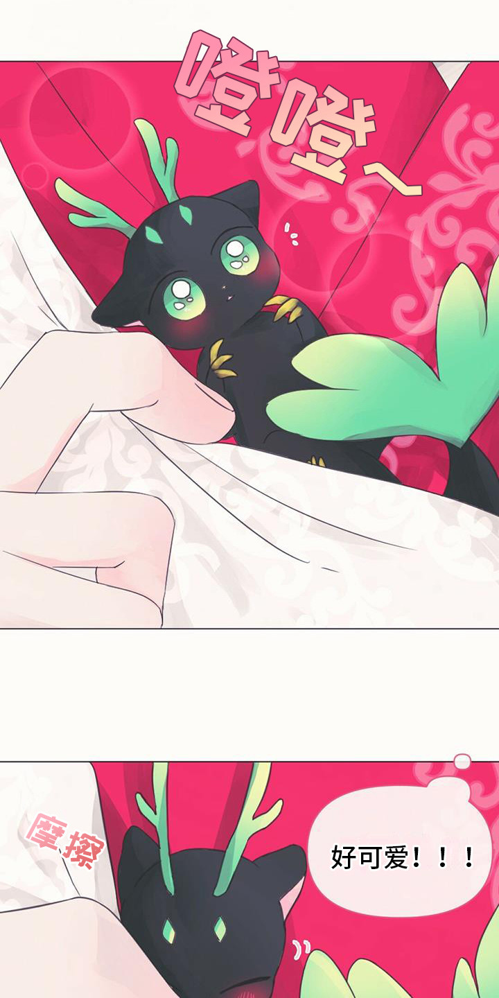 兔兔的小龙宝漫画,第1章：幼龙1图