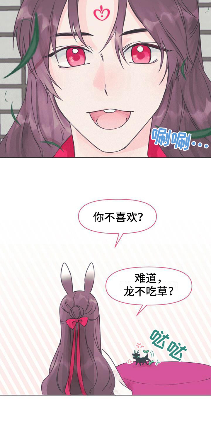 兔兔的那些事漫画,第3章：铃铛1图