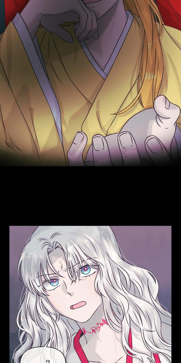 兔兔的小龙宝漫画,第81章：跟我一起去人界吧1图