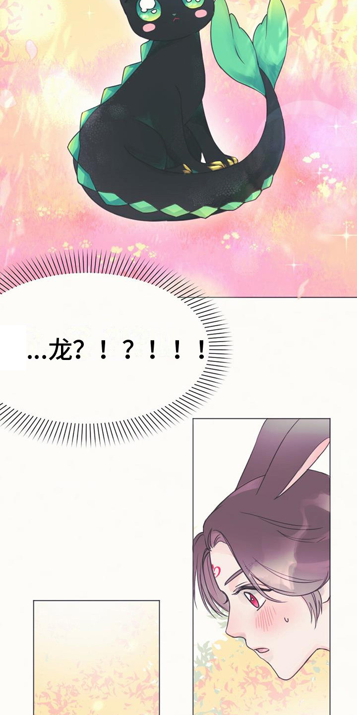 兔兔的小龙宝漫画,第1章：幼龙2图