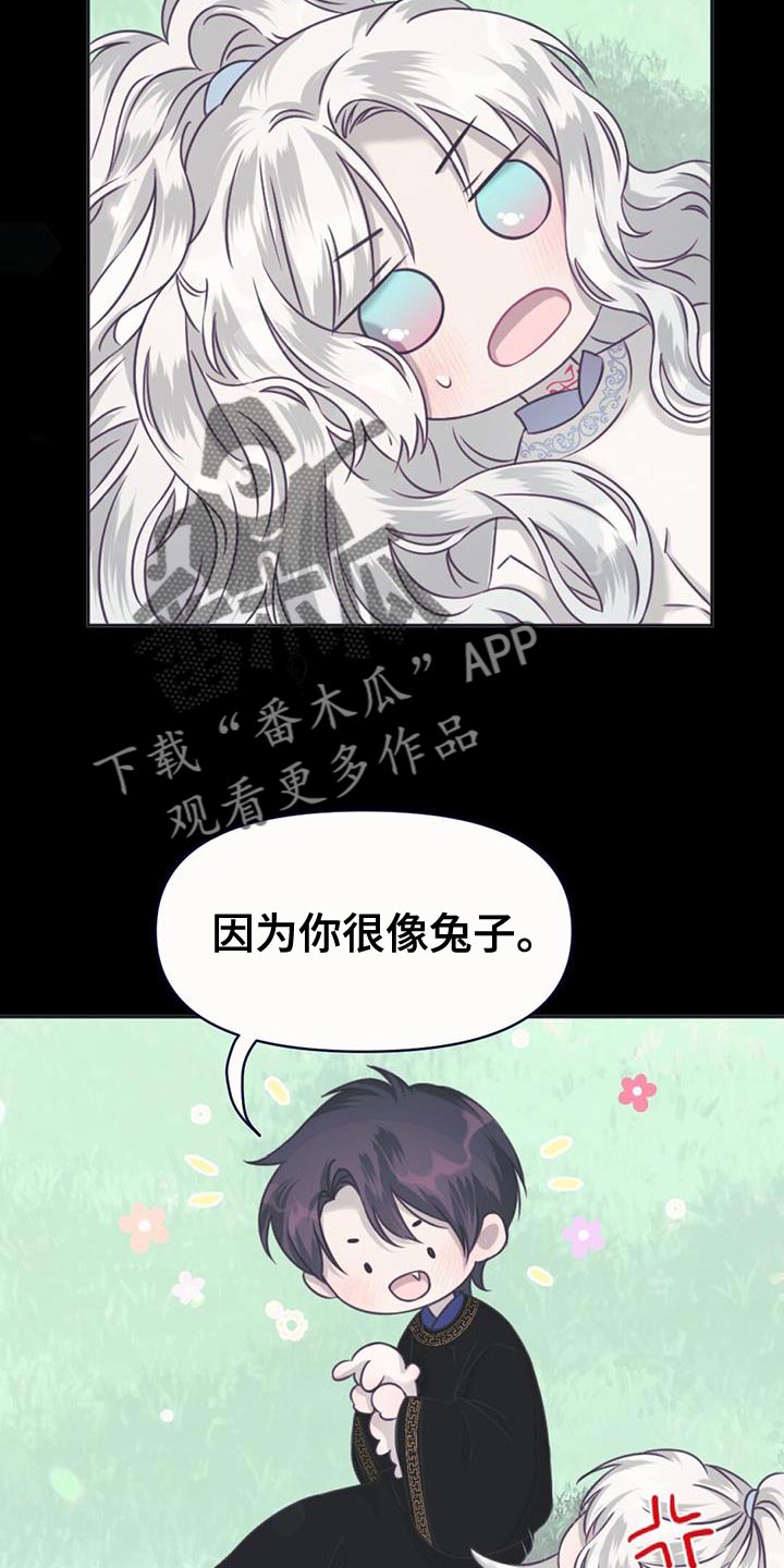 兔兔的小龙宝讲的什么漫画,第63章：只为了我出生的1图