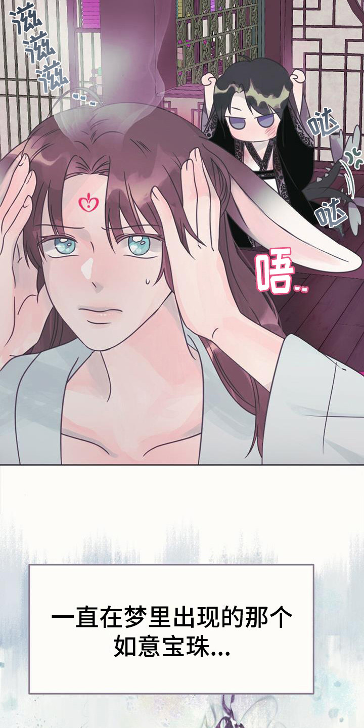 兔兔的做法漫画,第19章：如意珠2图