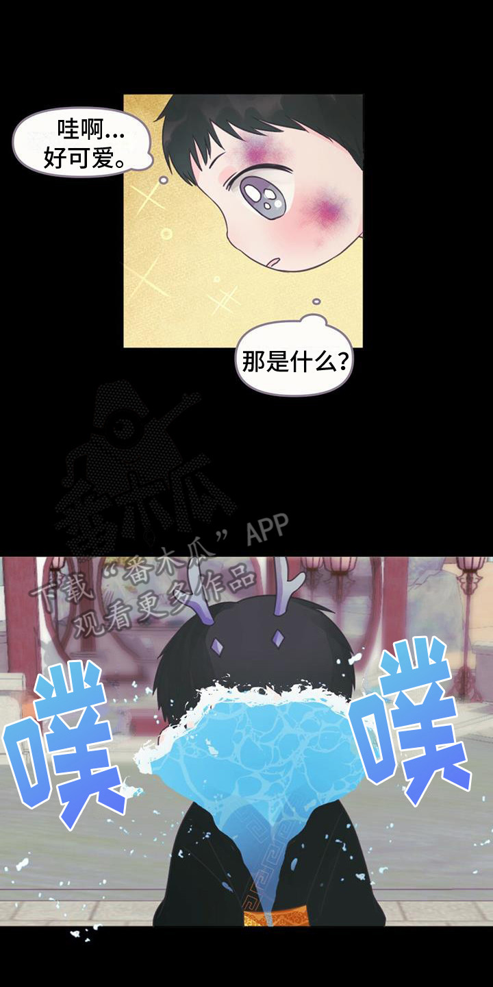 兔兔的小龙宝漫画,第27章：初次相遇2图