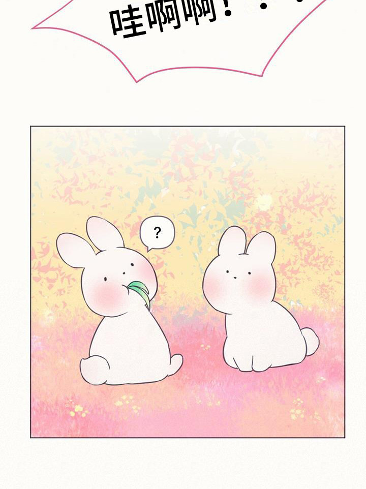 兔兔的小龙宝漫画,第1章：幼龙2图