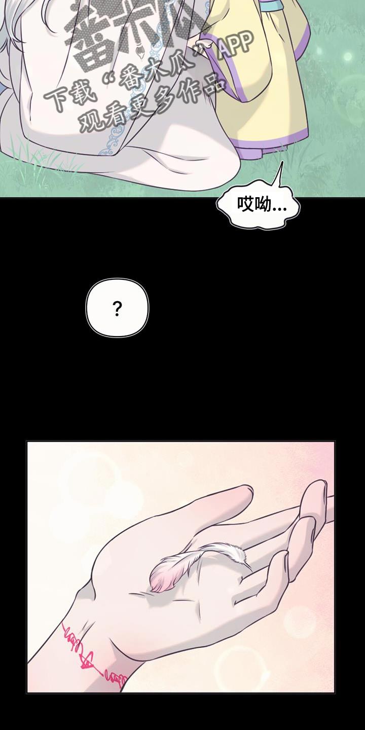 兔兔的小龙宝动漫漫画,第77章：保重2图