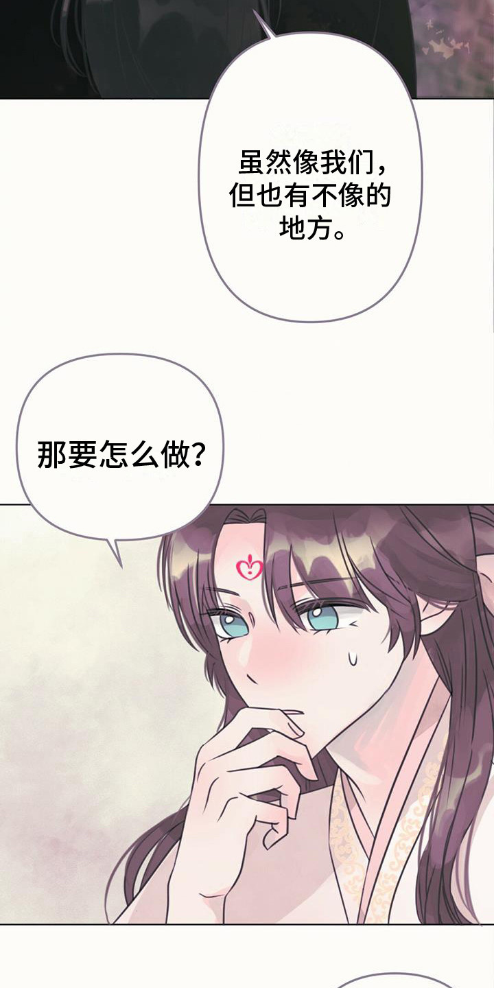 兔兔的那些事漫画,第24章：消除耳朵2图