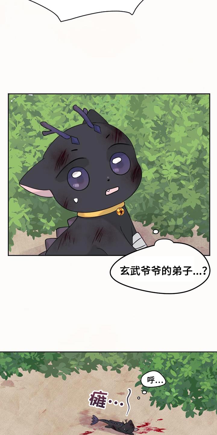 兔兔的视频儿童漫画,第68章：悲剧1图