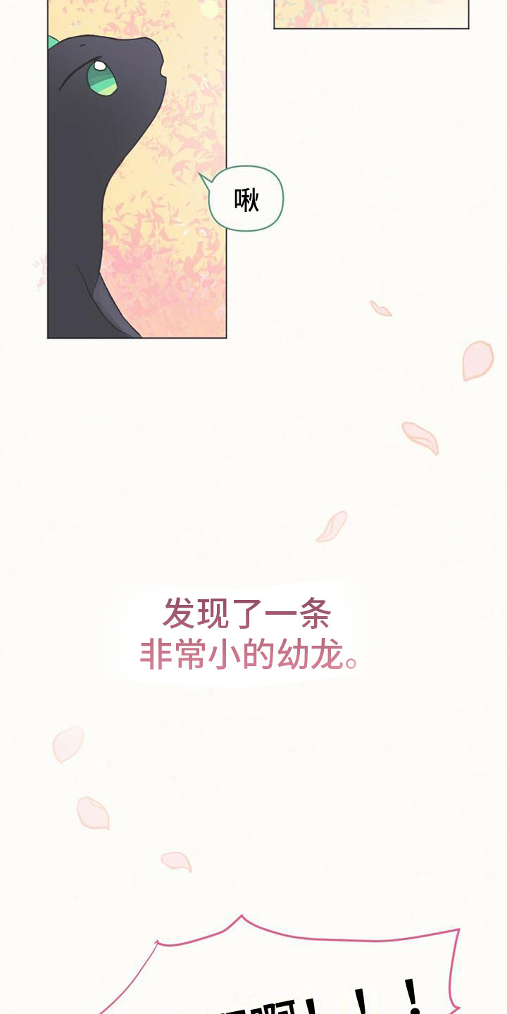 兔兔的小龙宝漫画,第1章：幼龙1图