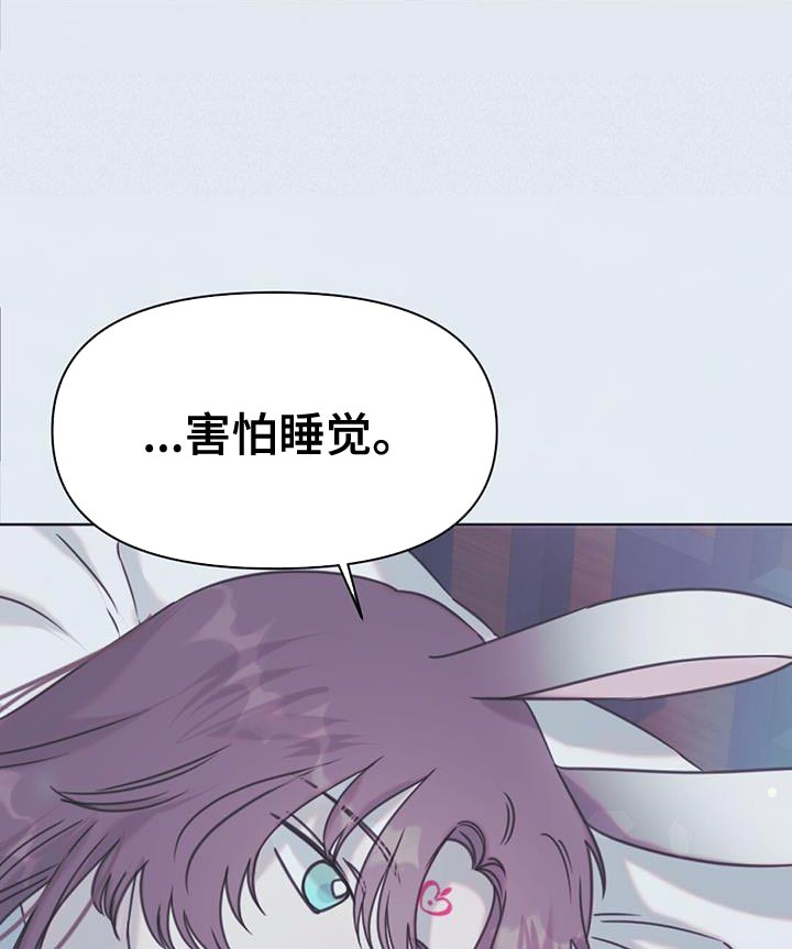 兔兔的小龙宝讲的什么漫画,第47章：打道回府2图