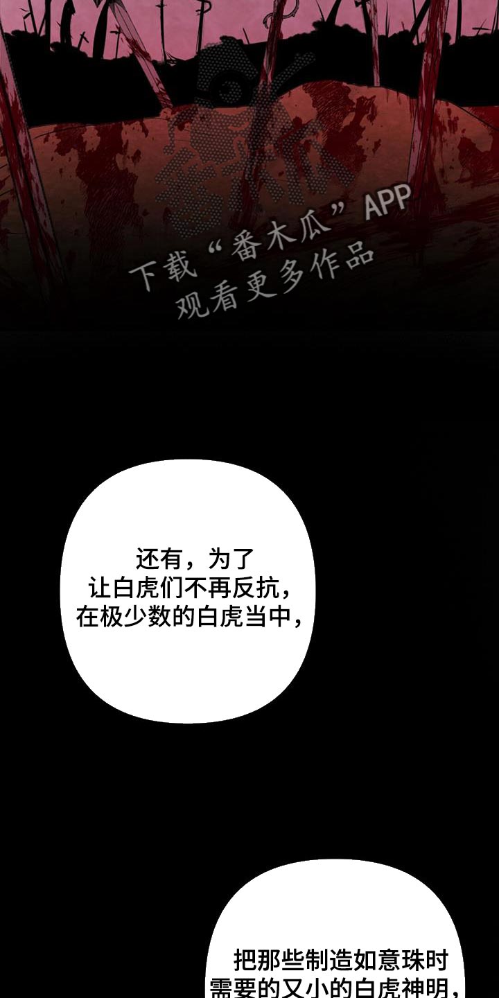 兔兔的小龙宝漫画,第67章：神珠的转世2图