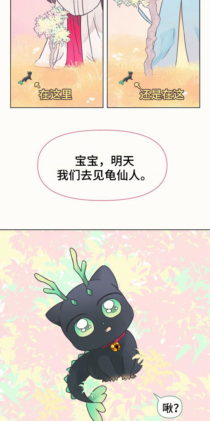 兔兔的小龙宝动漫漫画,第5章：长不大1图