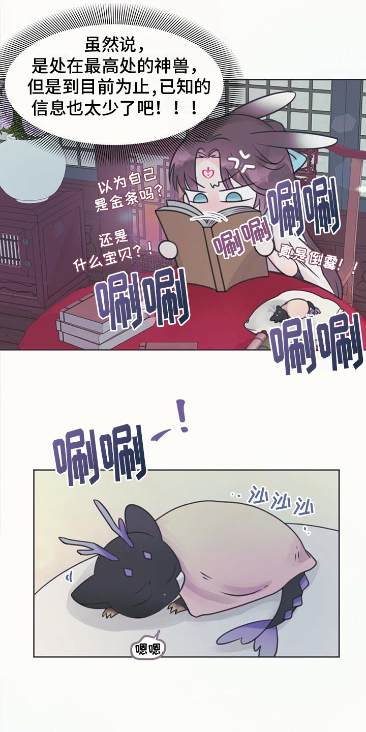 兔兔的做法漫画,第21章：查找资料2图