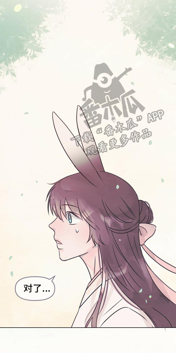兔兔的小龙宝漫画,第23章：踏上旅途2图