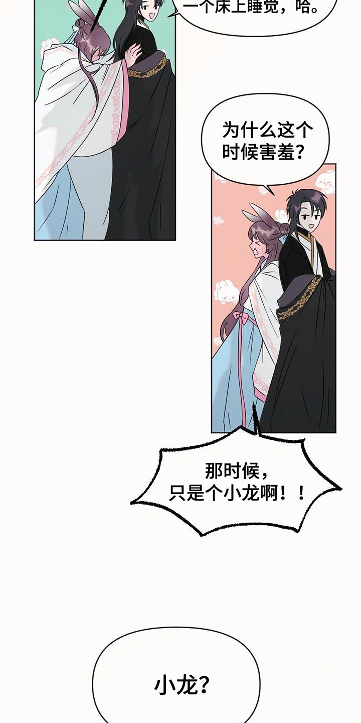 兔兔的小龙宝讲的什么漫画,第47章：打道回府1图