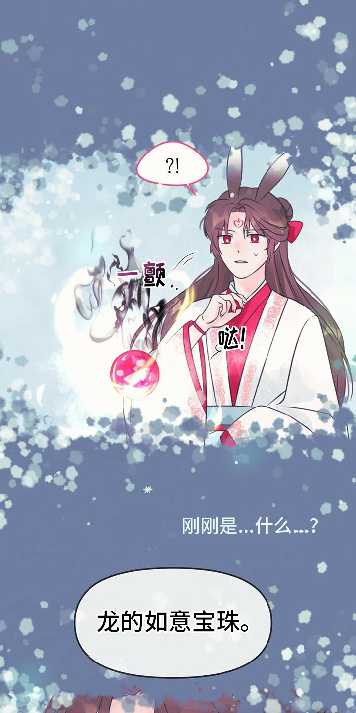 兔兔的故事睡前漫画,第15章：好久不见1图