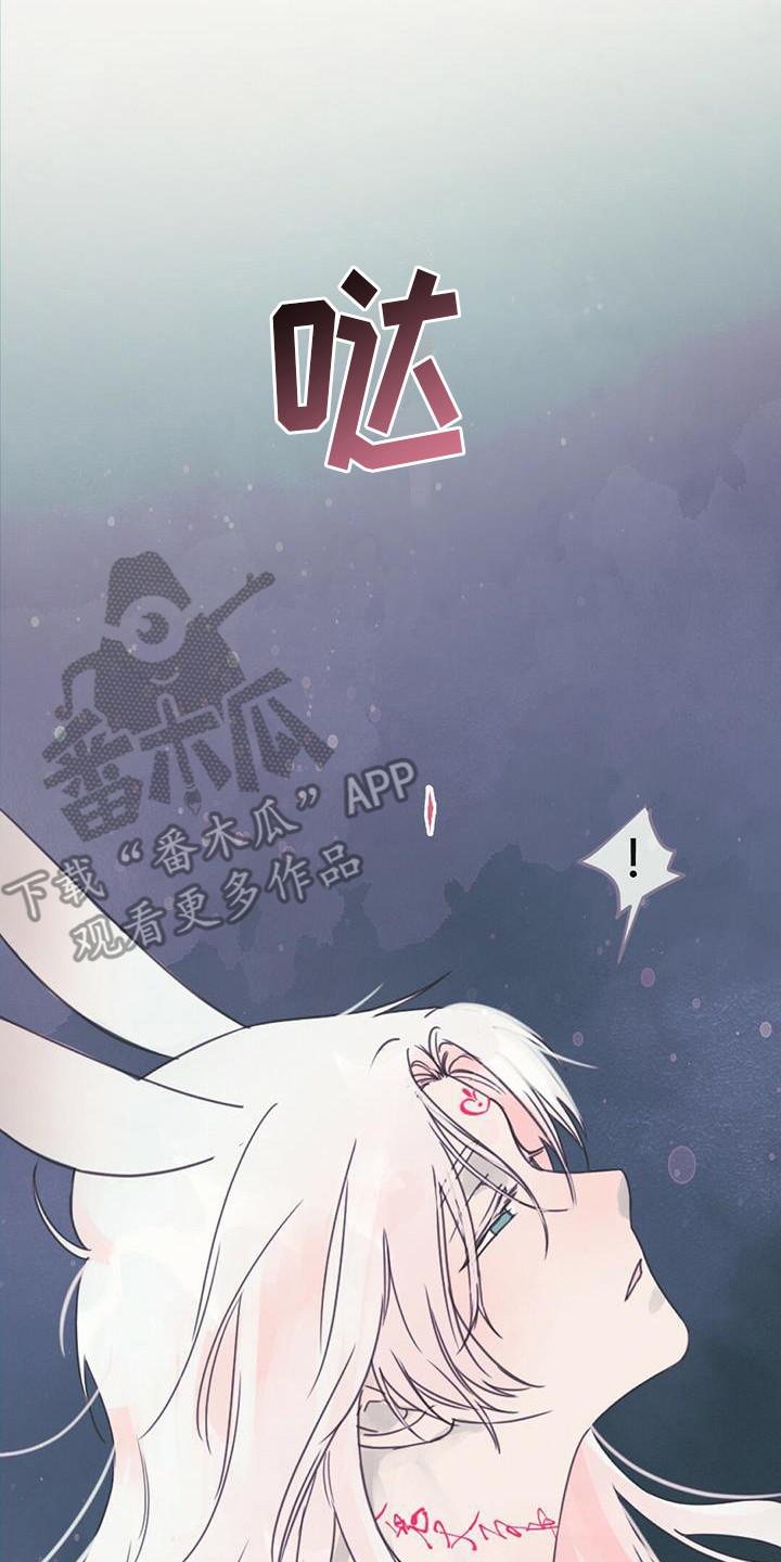 兔兔的画法漫画,第17章：交换信息2图