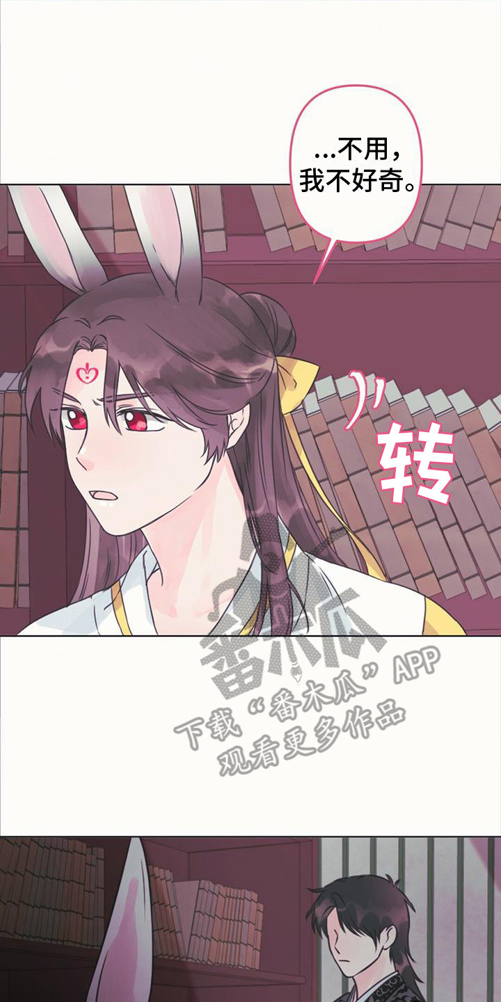 兔兔的画法漫画,第14章：好奇2图