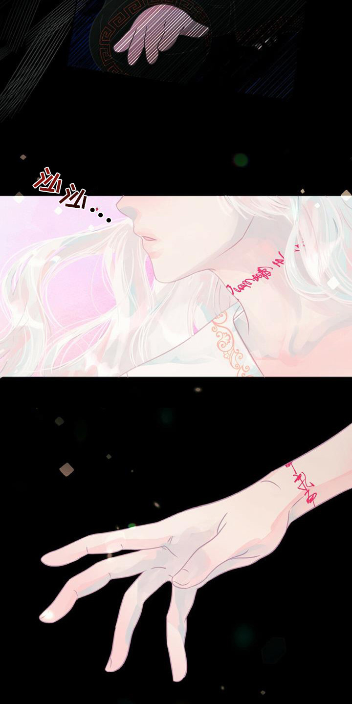 兔兔的小龙宝漫画,第27章：初次相遇2图
