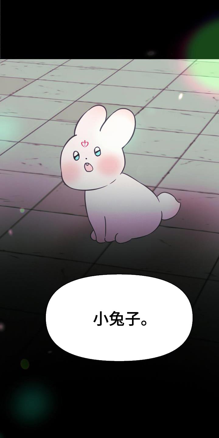 兔兔的小龙宝漫画,第46章：别有用心的兔子2图