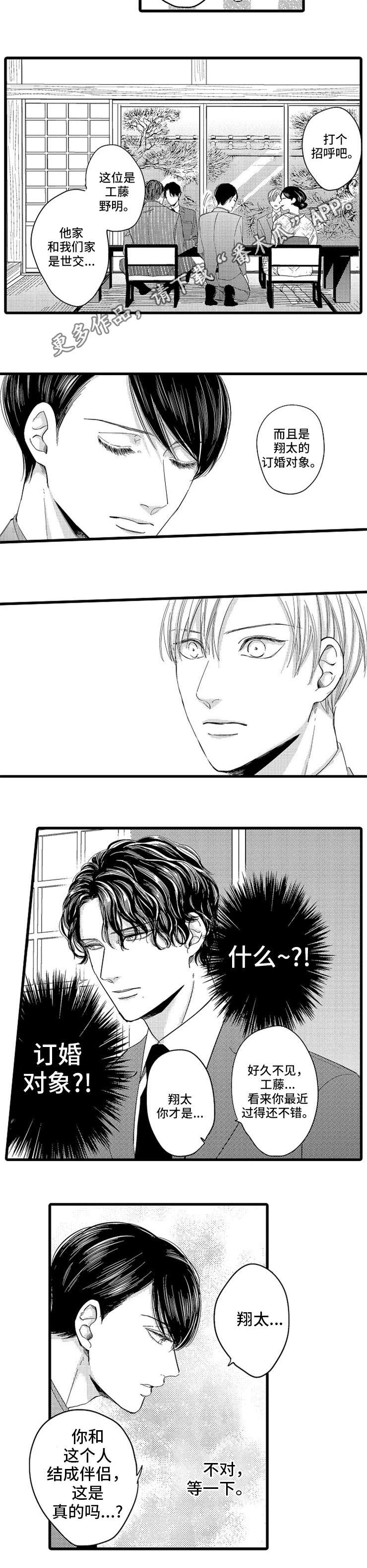 欧米伽的谎言漫画,第8章：订婚对象2图