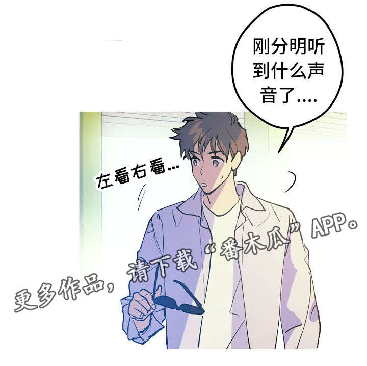 全国两会漫画,第11章：停车场的猫1图