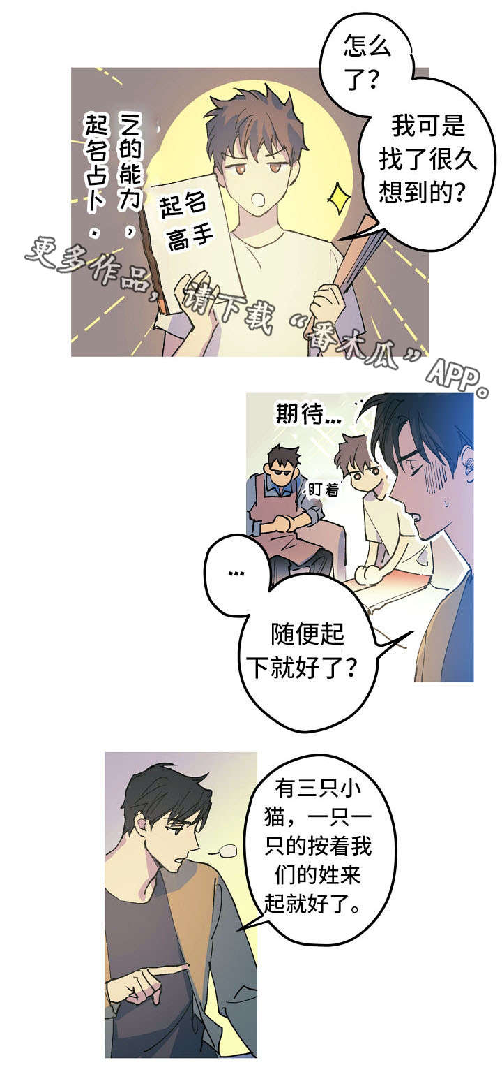 全面霸占漫画又叫什么名字漫画,第18章：取名风波2图