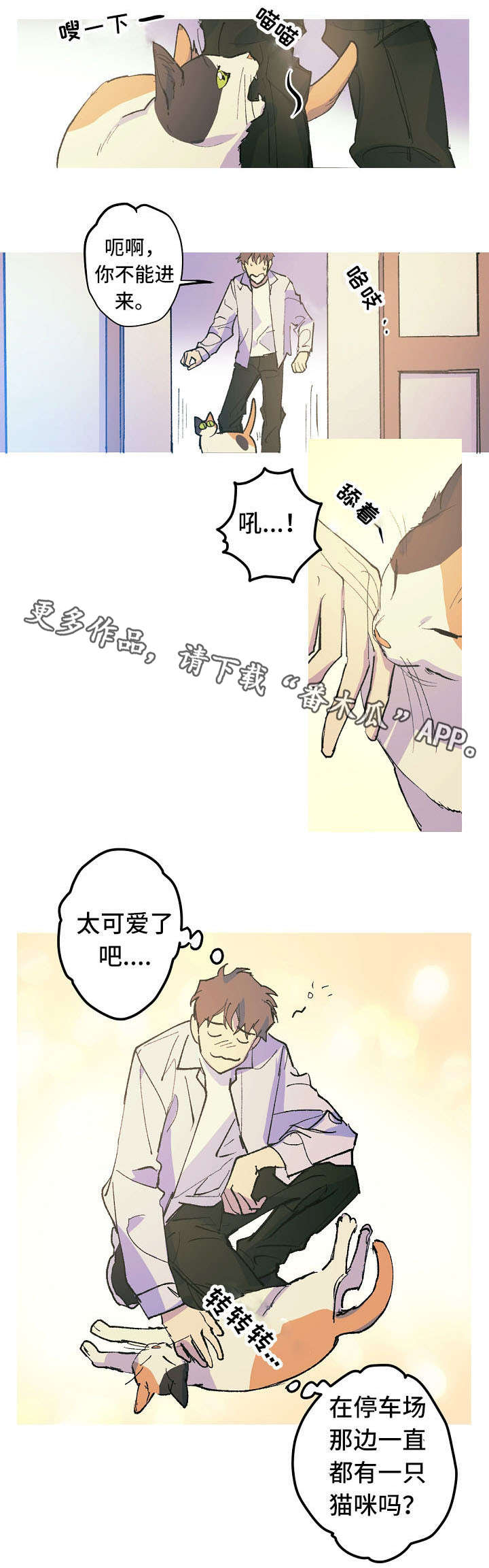 全面保护漫画,第12章：这是什么？1图