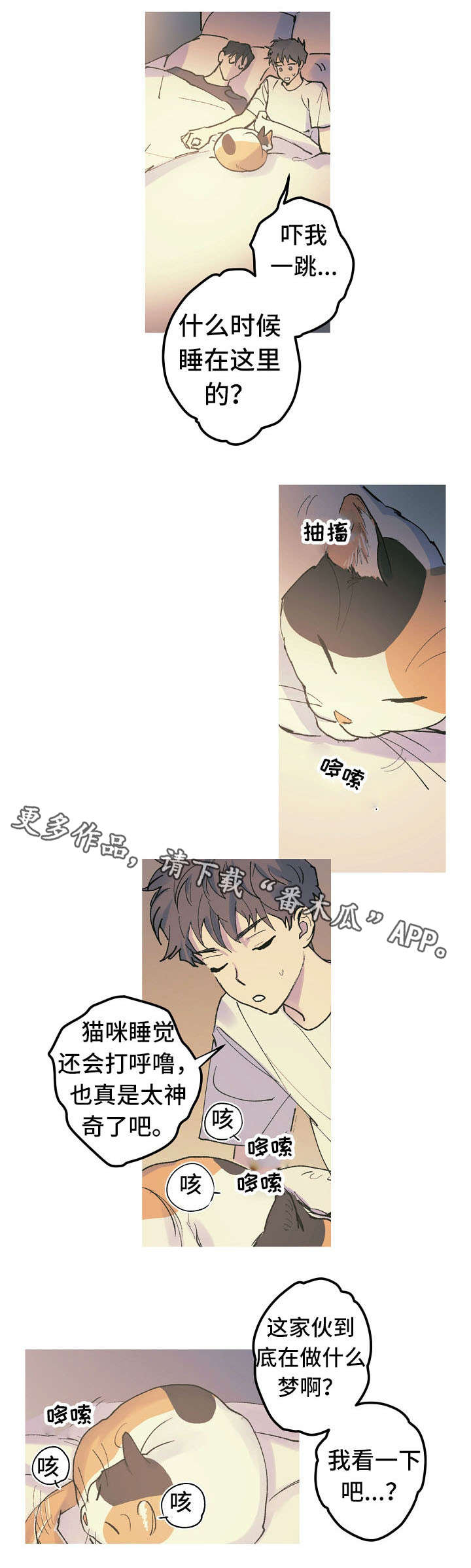 全面把握十三个坚持漫画,第14章：猫咪的梦1图