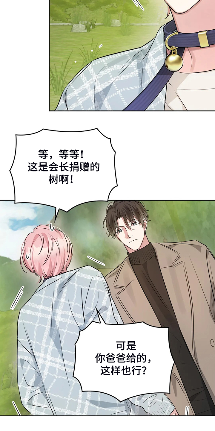 童瑶漫画,第47章：留下的记忆2图