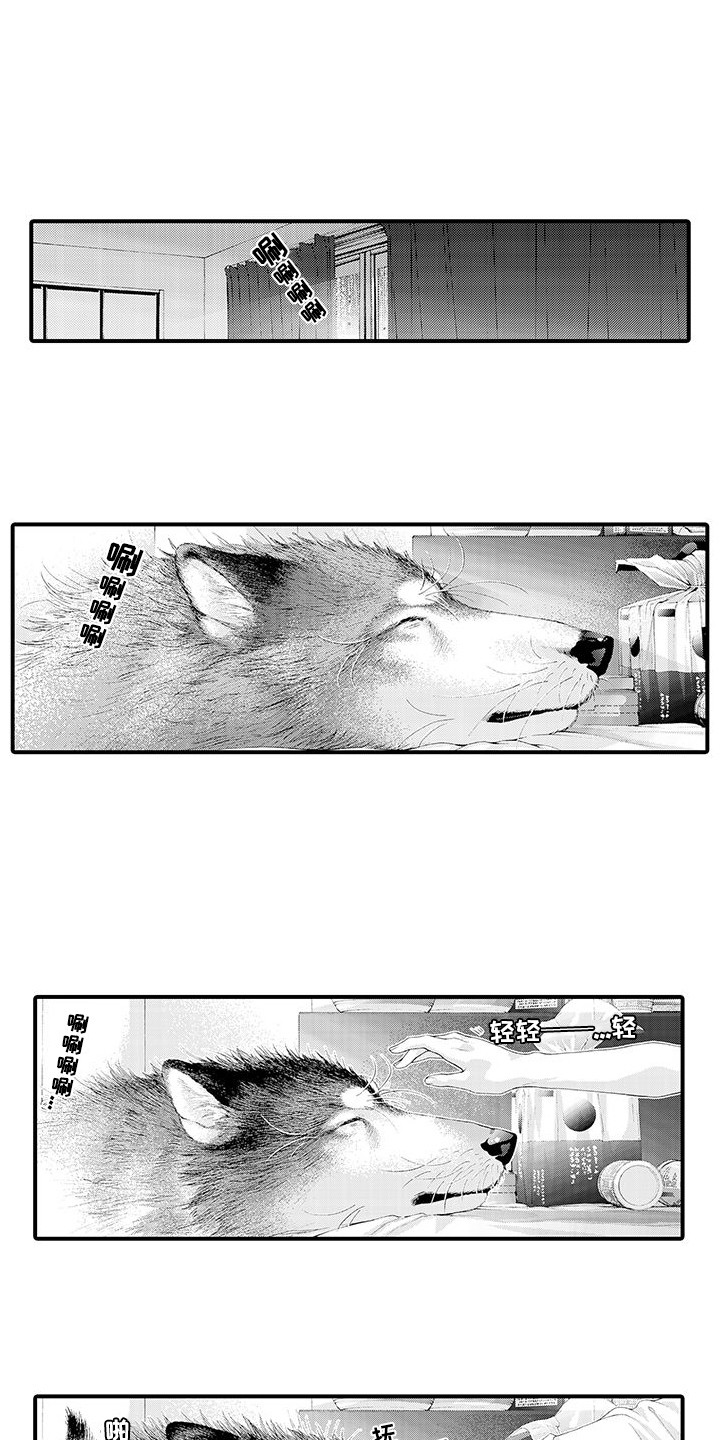 毛绒绒男友漫画,第29章：解释1图