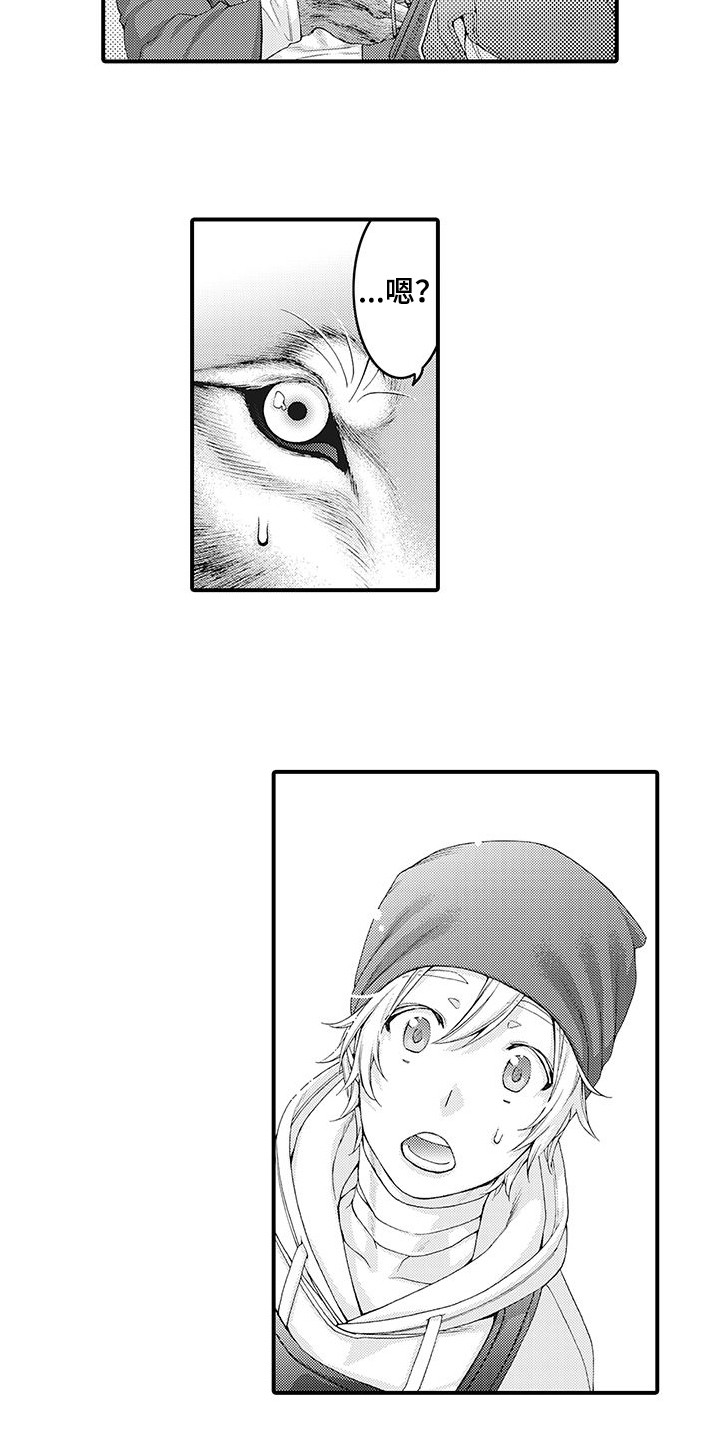 毛绒绒男友漫画,第2章：比比划划1图
