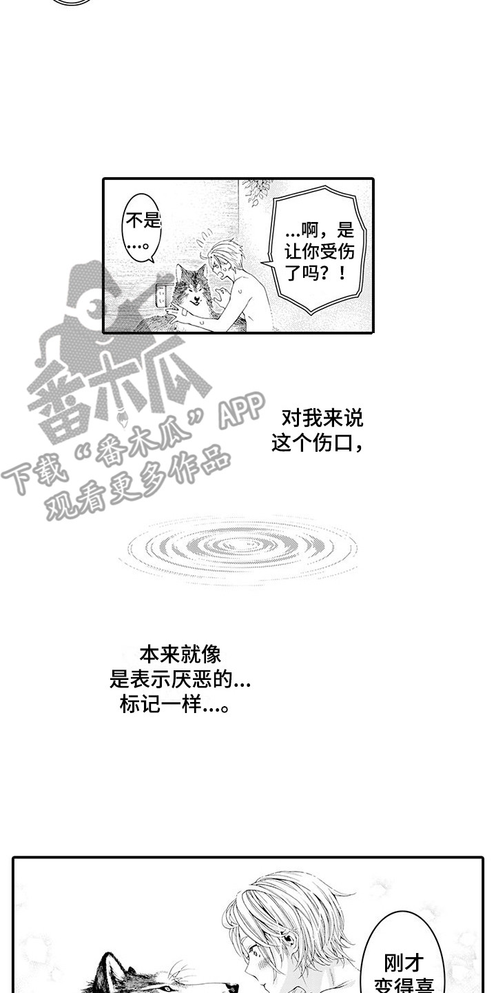 毛绒绒男友漫画,第21章：变得喜欢2图