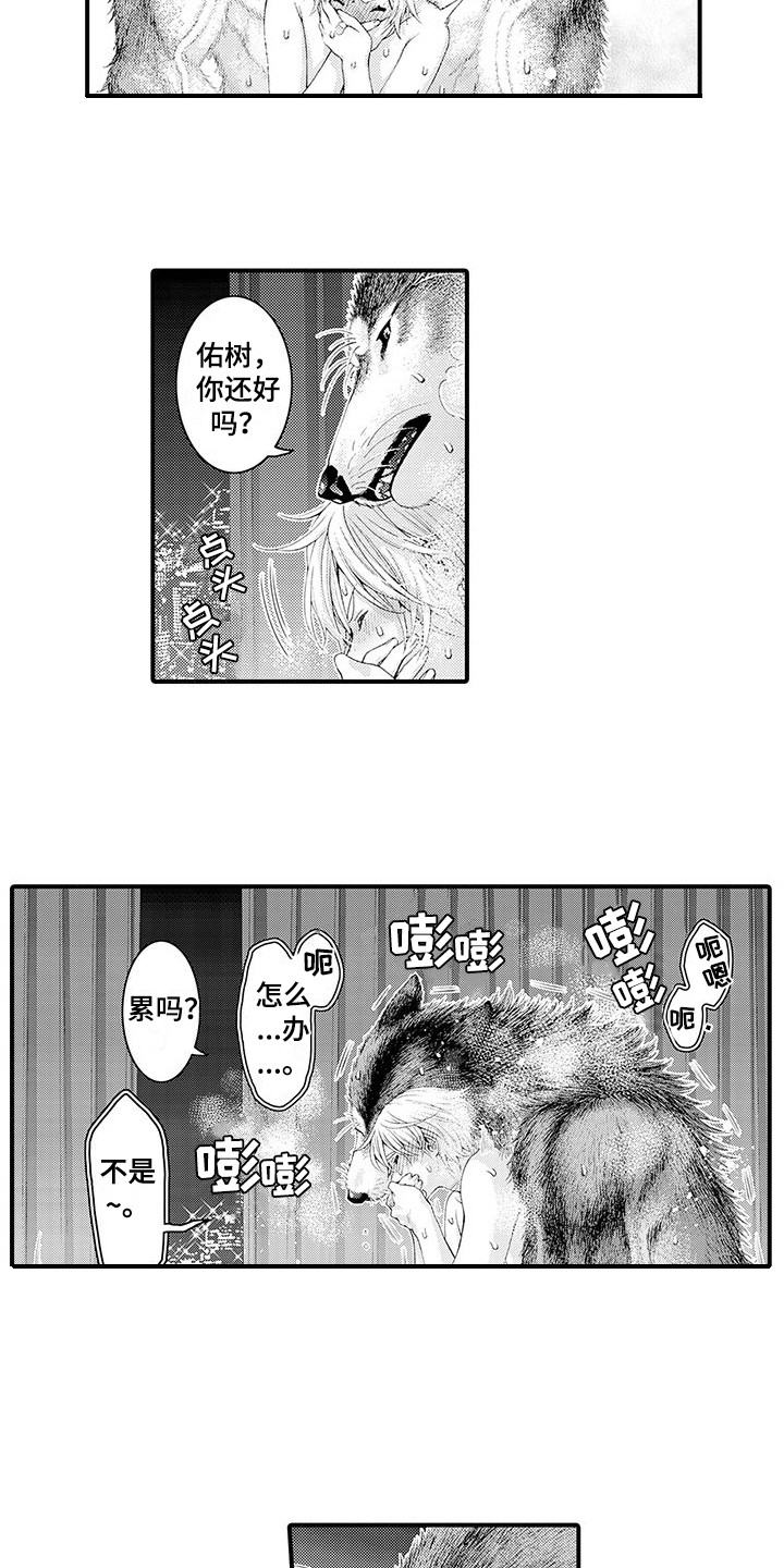 毛绒绒男友漫画,第31章：不是梦（完结）1图