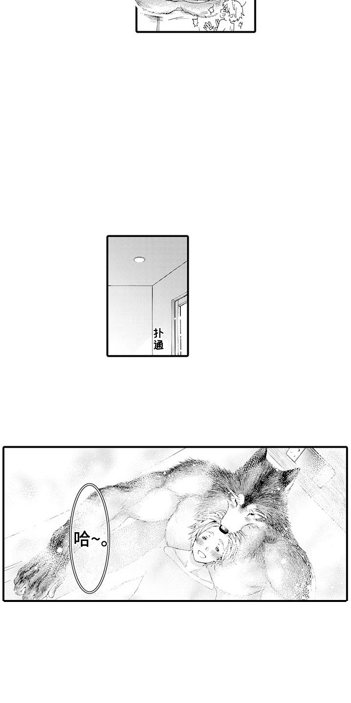 毛绒绒男友漫画,第20章：很温暖1图