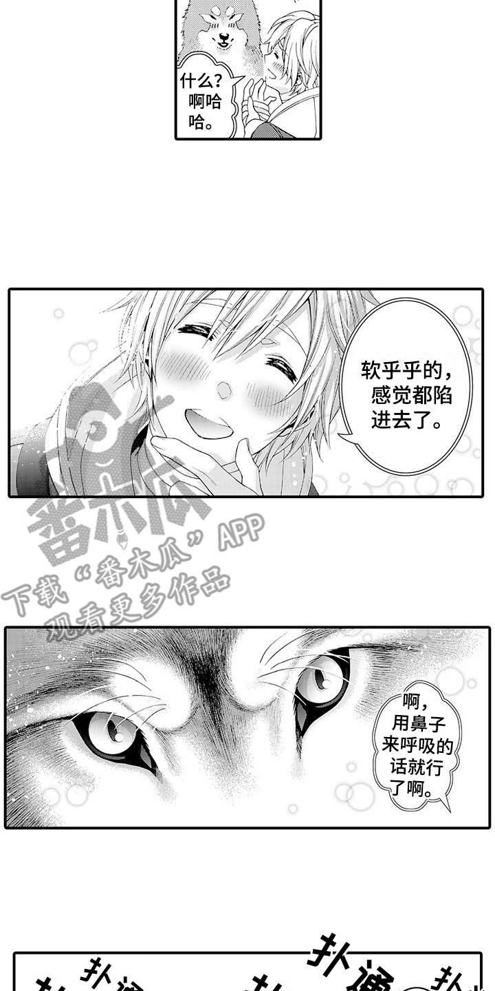 毛绒绒男友漫画,第17章：太诚实了 2图