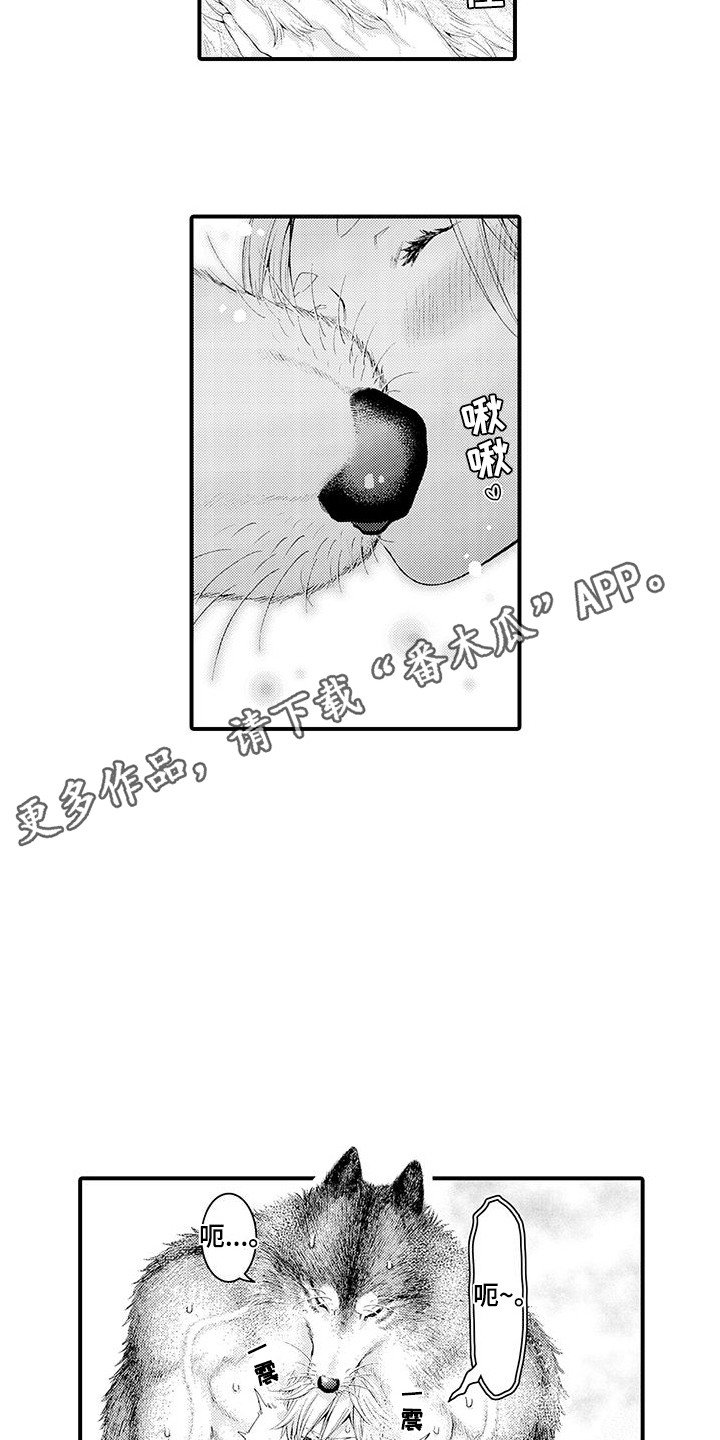 毛绒绒男友漫画,第31章：不是梦（完结）2图