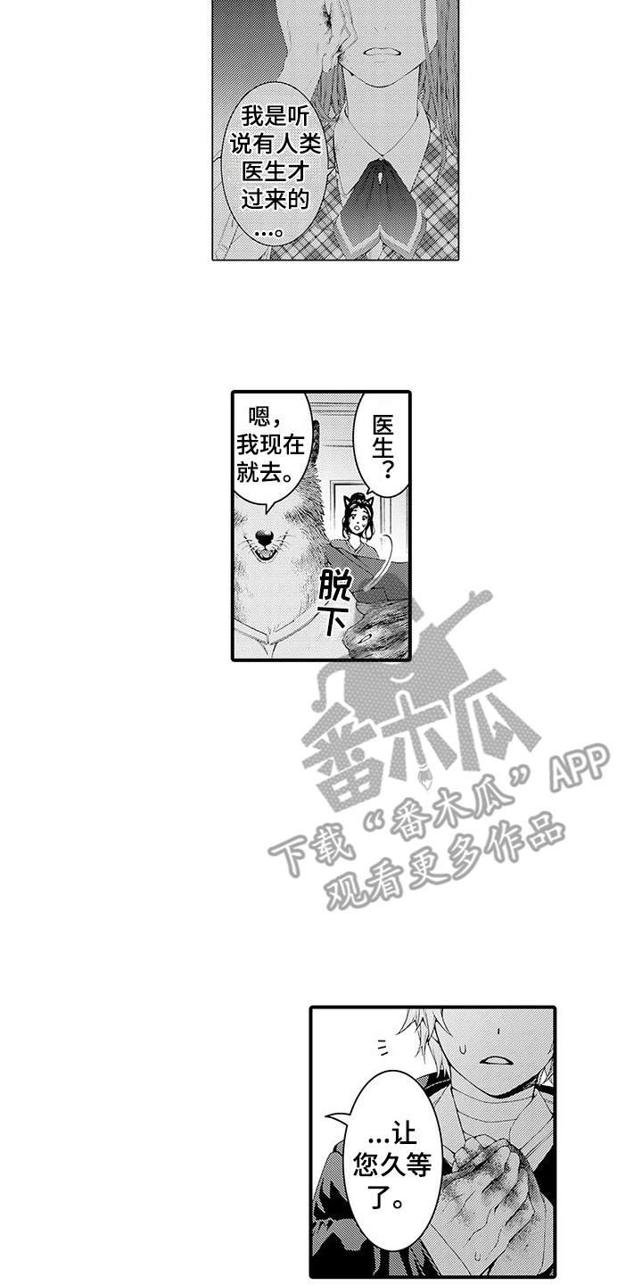 毛绒绒男友漫画,第8章：处理伤口2图