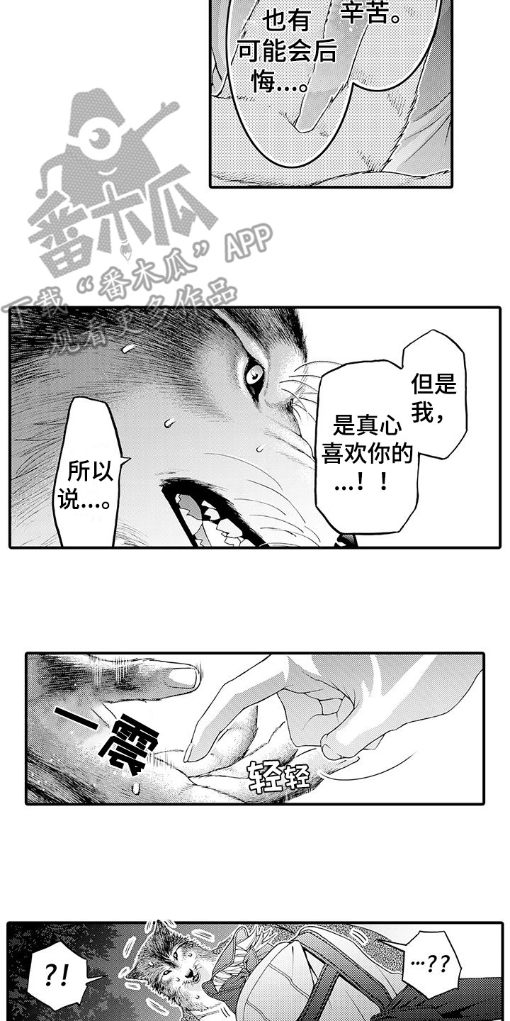 毛绒绒男友漫画,第11章：表白2图