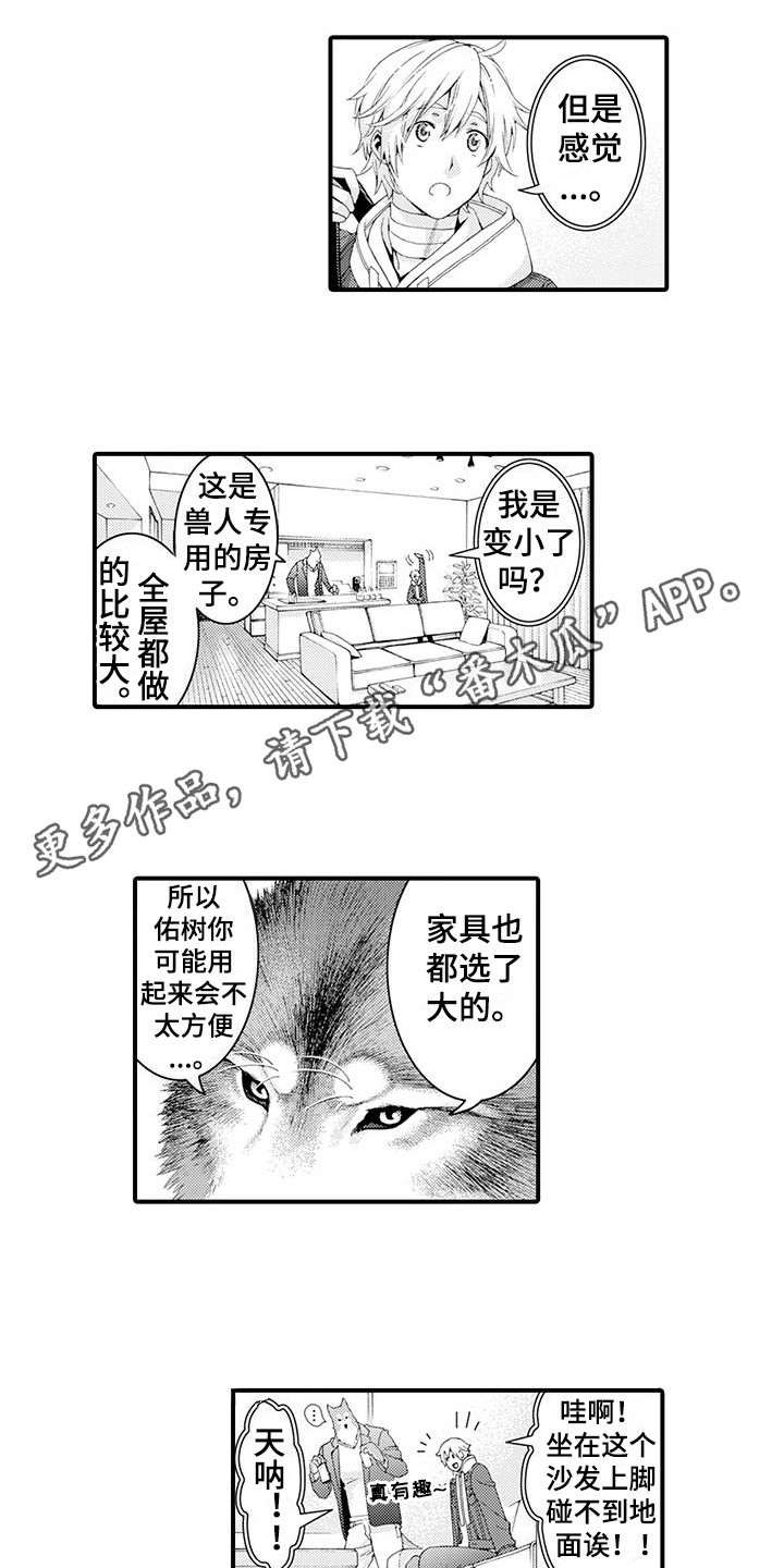 毛绒绒男友漫画,第18章：宽敞的房间2图