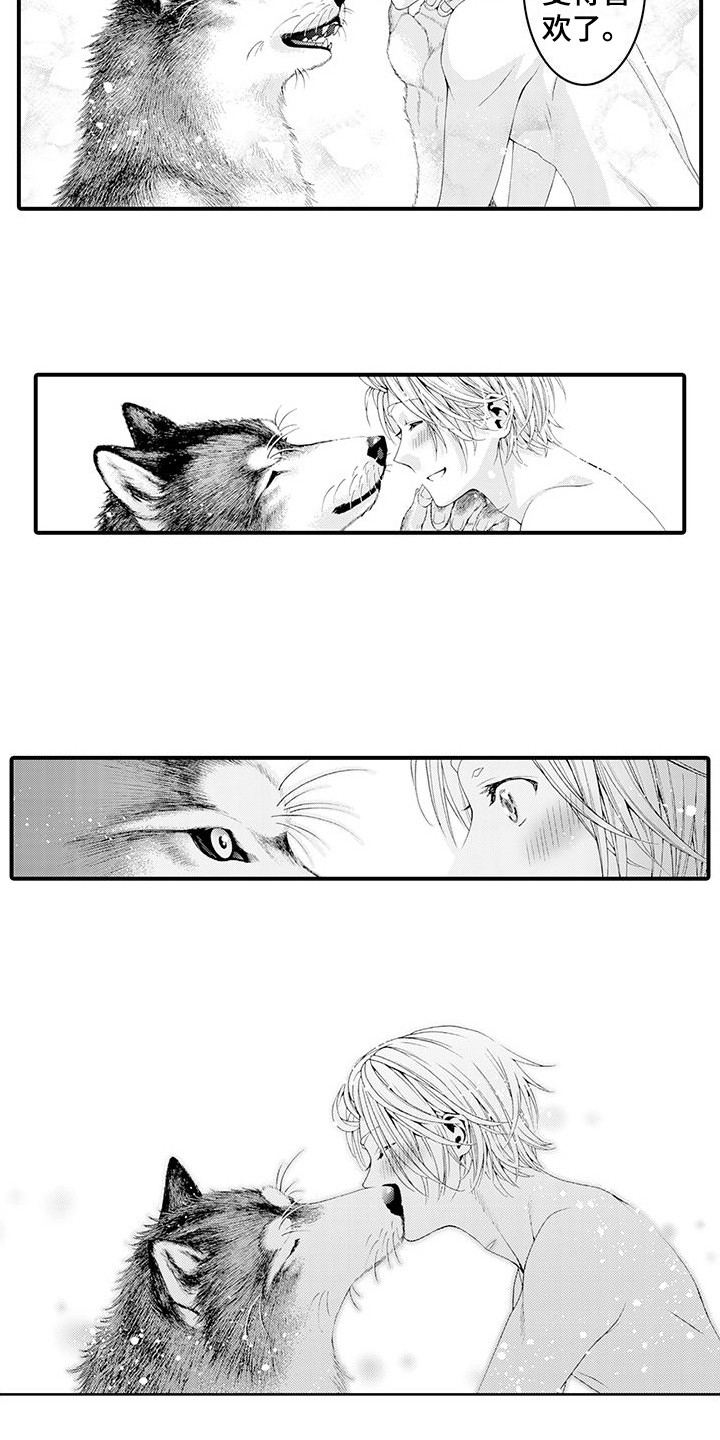 毛绒绒男友漫画,第21章：变得喜欢1图