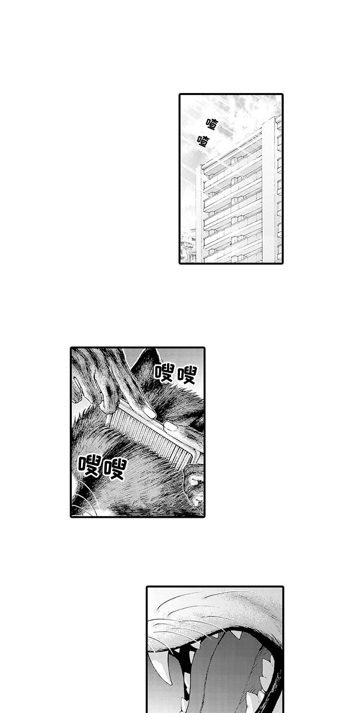 毛绒绒男友漫画,第12章：约会1图